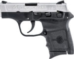 S&W BODYGUARD .380ACP 2.75 FS