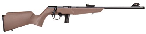 ROSSI RB22 COMPACT 22LR BOLT