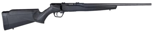 SAVAGE B22F MAGNUM 22WMR 21