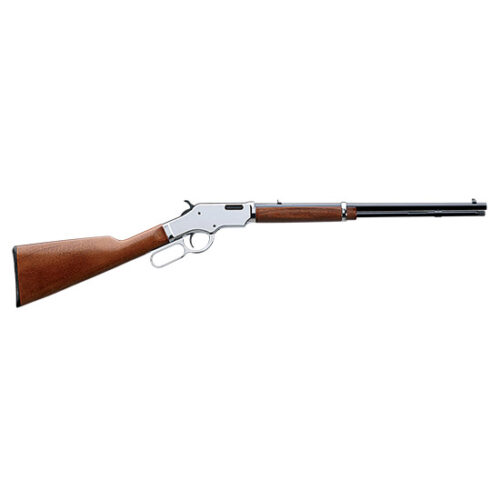 HENRY GOLDEN BOY SILVER 17HMR