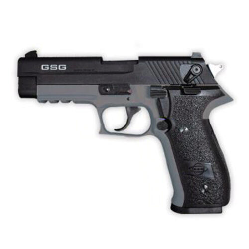 GERMAN SPORT FIREFLY 22LR