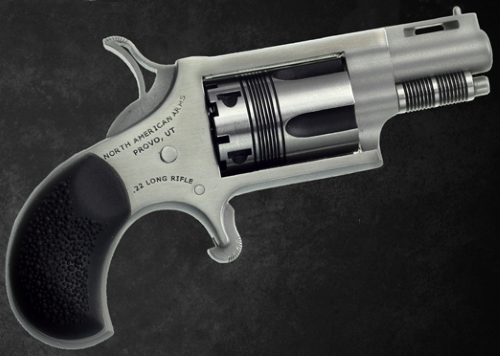 THE WASP 22LR REV 1-1/8 SS