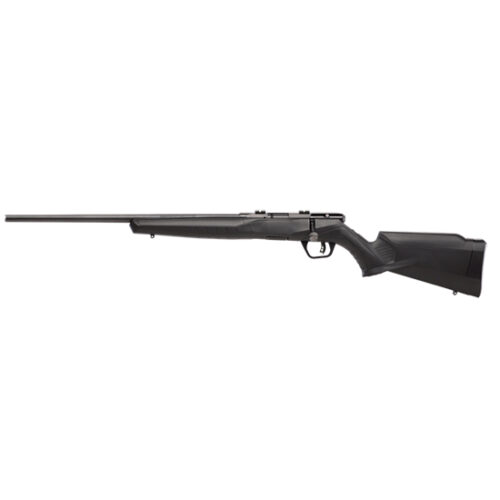 SAV B17F 17HMR BA RFL 10RD LH