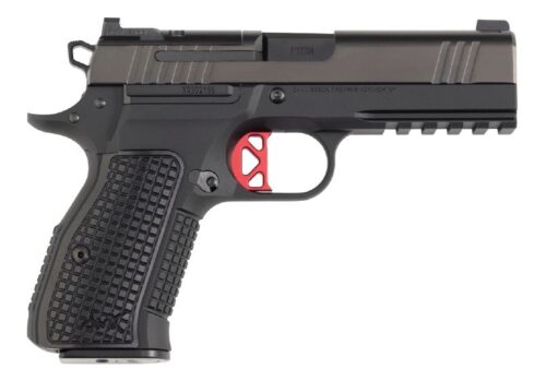 CZ DAN WESSON DWX OR COMPACT
