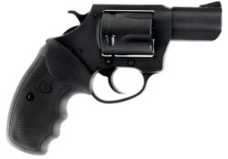CHARTER ARMS MAG PUG 357MAG