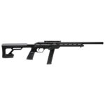SAVAGE 64 PRECISION 22LR 20RD