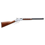 HENRY GOLDEN BOY SILVER 17HMR