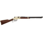 HENRY GOLDENBOY 17HMR