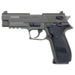 GERMAN SPORT FIREFLY 22LR