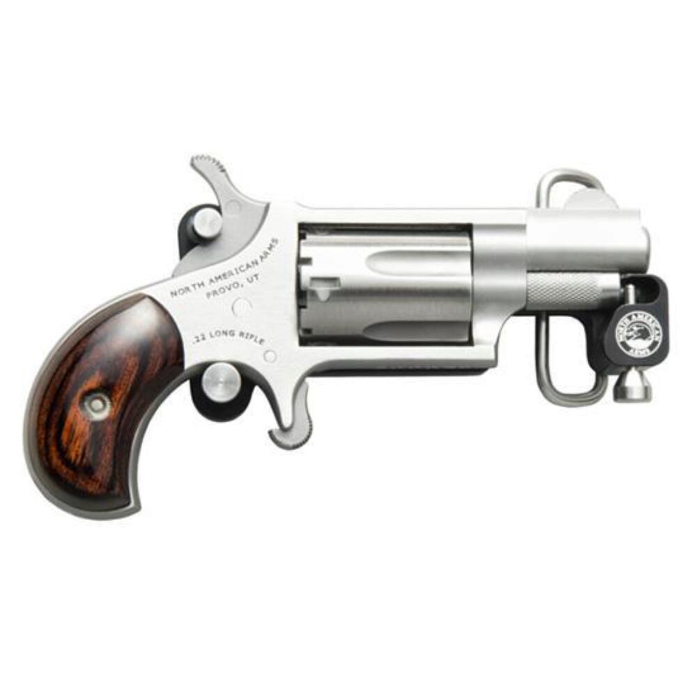 NAA MINI-REVOLVER 22LR 1-1/8