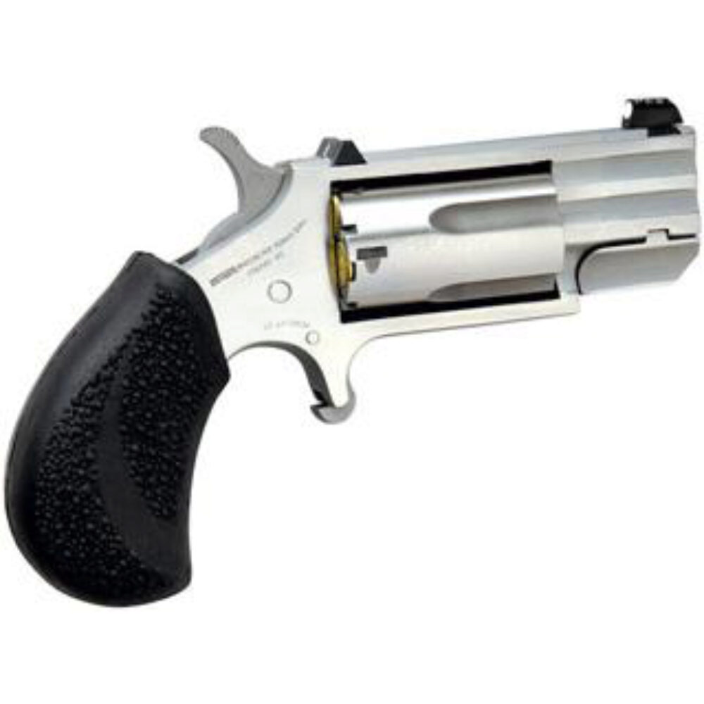 NAA MINI-REVOLVER PUG 22WMR