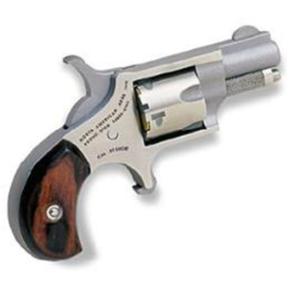 NAA MINI-REVOLVER 22 SHORT