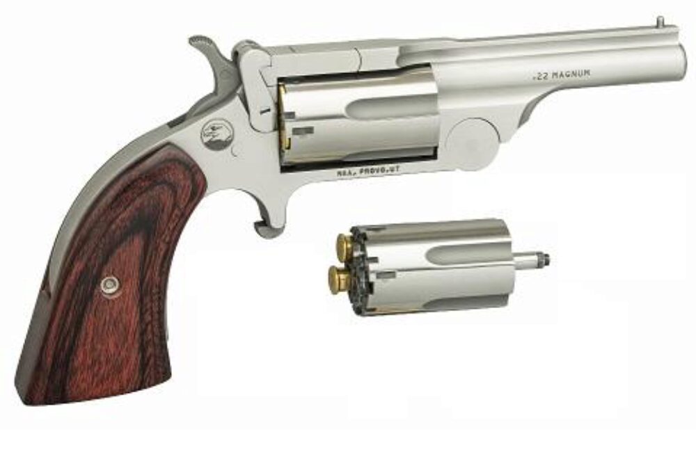 NAA MINI-REVOLVER 22LR/22WMR