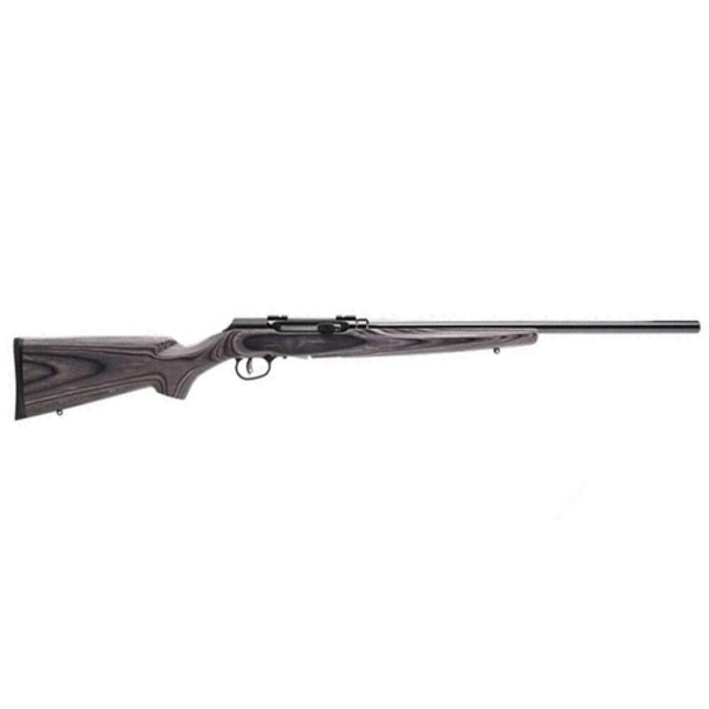 SAVAGE A17 17HMR SPORTER 22