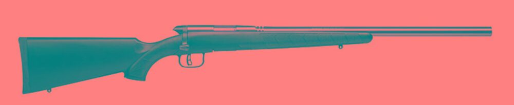 SAVAGE BMAG 17WSM 22 8-SHOT