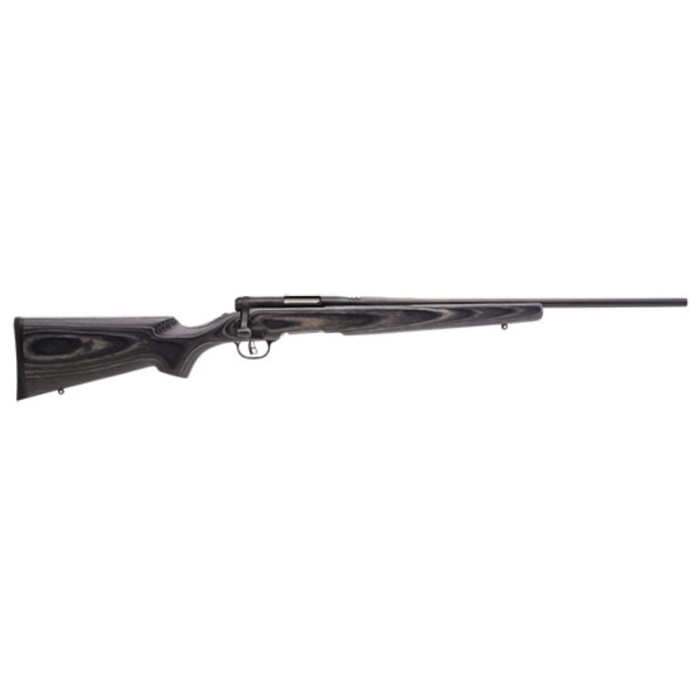 SAVAGE BMAG SPORTER 17WSM 22