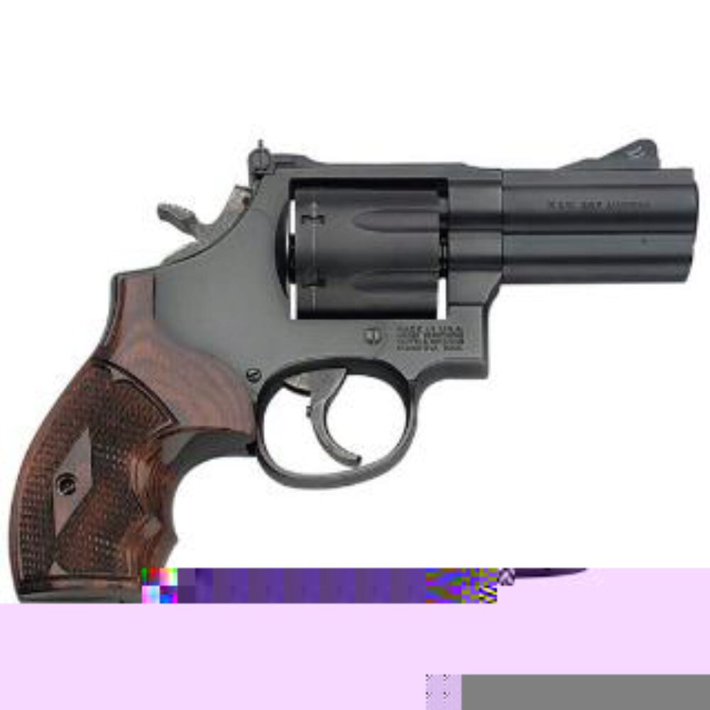 S&W 586 PERFORMANCE CENTER