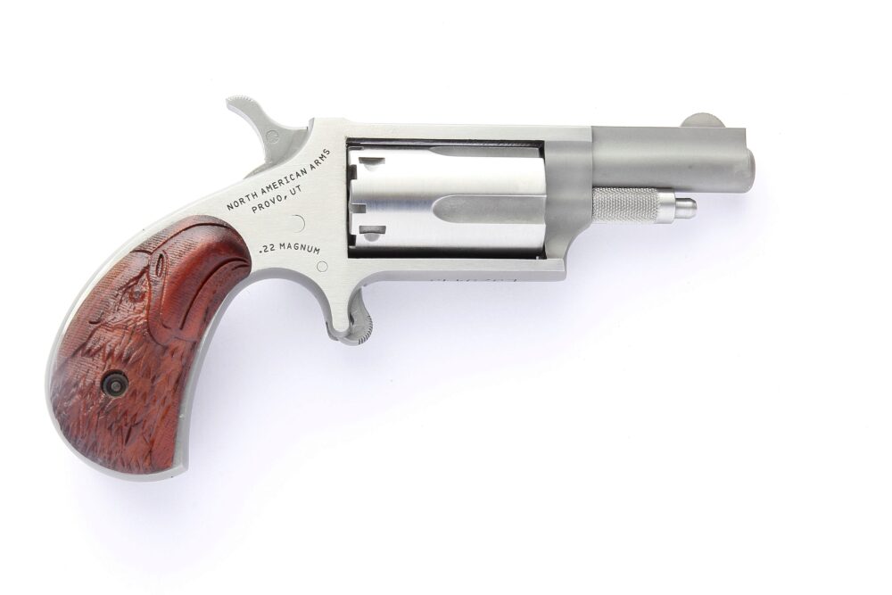 MINI 22LR/22M 1-5/8 EAGLE GRP