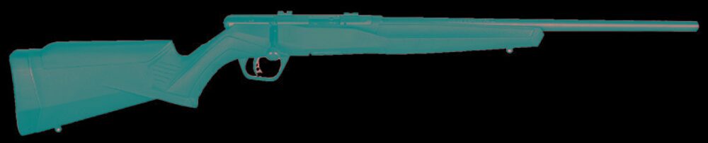 SAV B17F COMP 17HMR BA 10RD