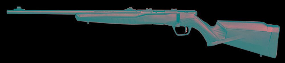 SAV B22F 22LR BA 10RD SYN LH