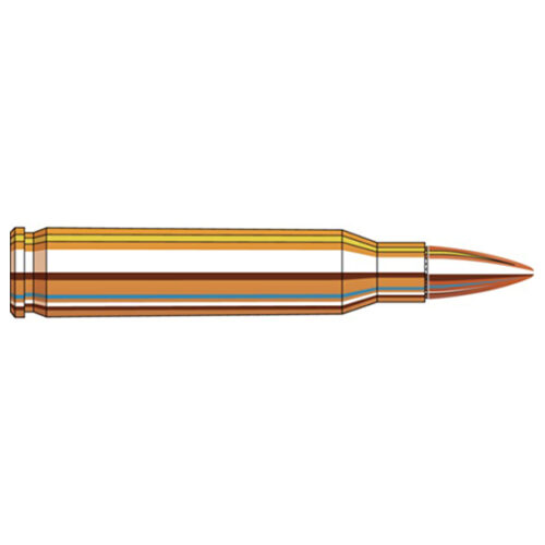 FRONTIER FR200  M193 5.56  55 FMJ            20/25
