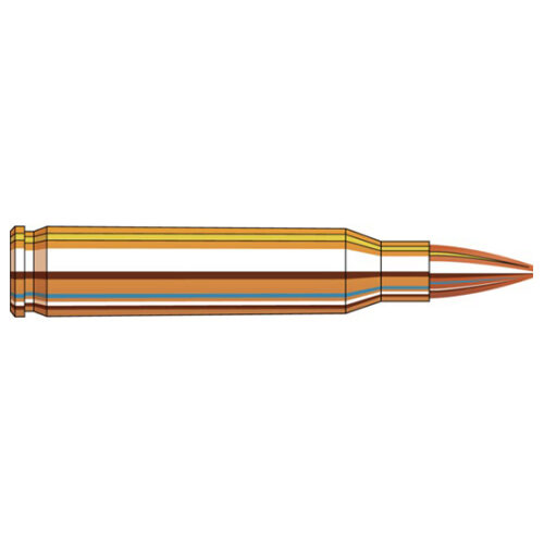 FRONTIER FR320       5.56  75 BTHP MATCH     20/25