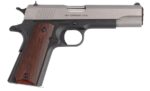 GOV'T TWO-TONE 45ACP 5