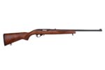 10/22 22LR BL/WD 22