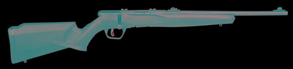 SAV 70214 B22F          22LR  BOLT COMPACT