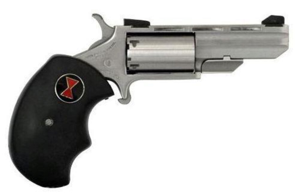 NAA BWL         BLACK WIDOW 22LR   2IN FS