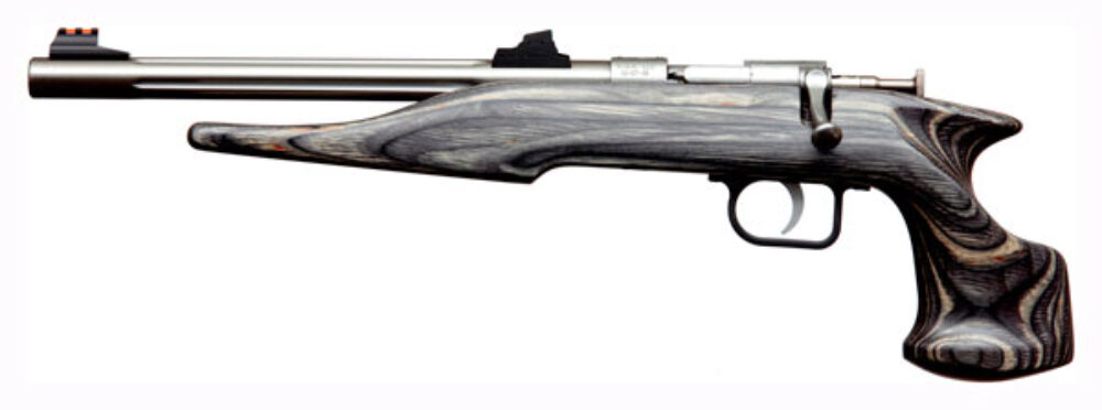 CHIPMUNK 40103   22LR           TB          BLK/SS