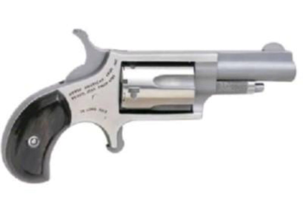 MINI 22LR REV 1-5/8 SS BLK PRL
