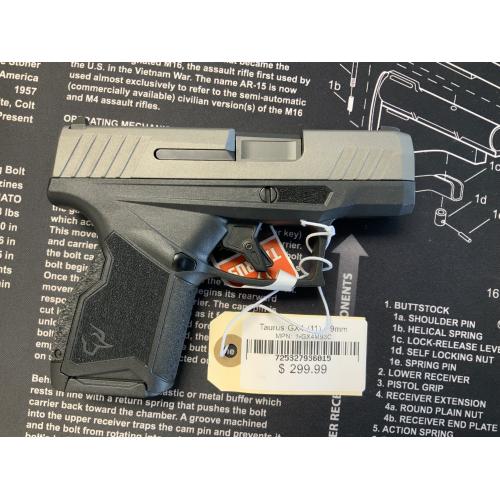 Taurus GX4 (11) - 9mm