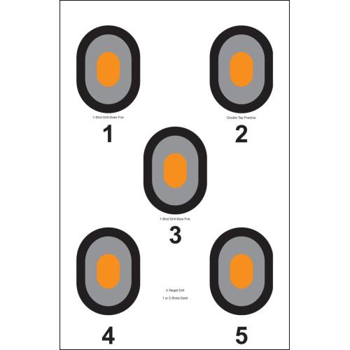 ACTION 5 Bullseye Target