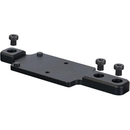 Ruger 10/22 RMR Mount