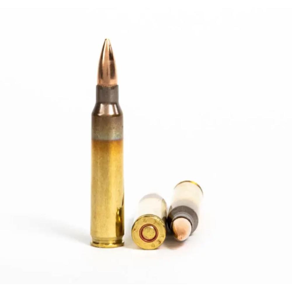 SPEER 55GR FMJ (20) - 5.56