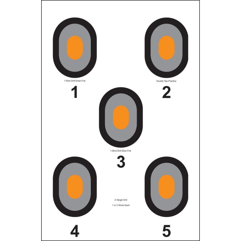 ACTION 5 Bullseye Target
