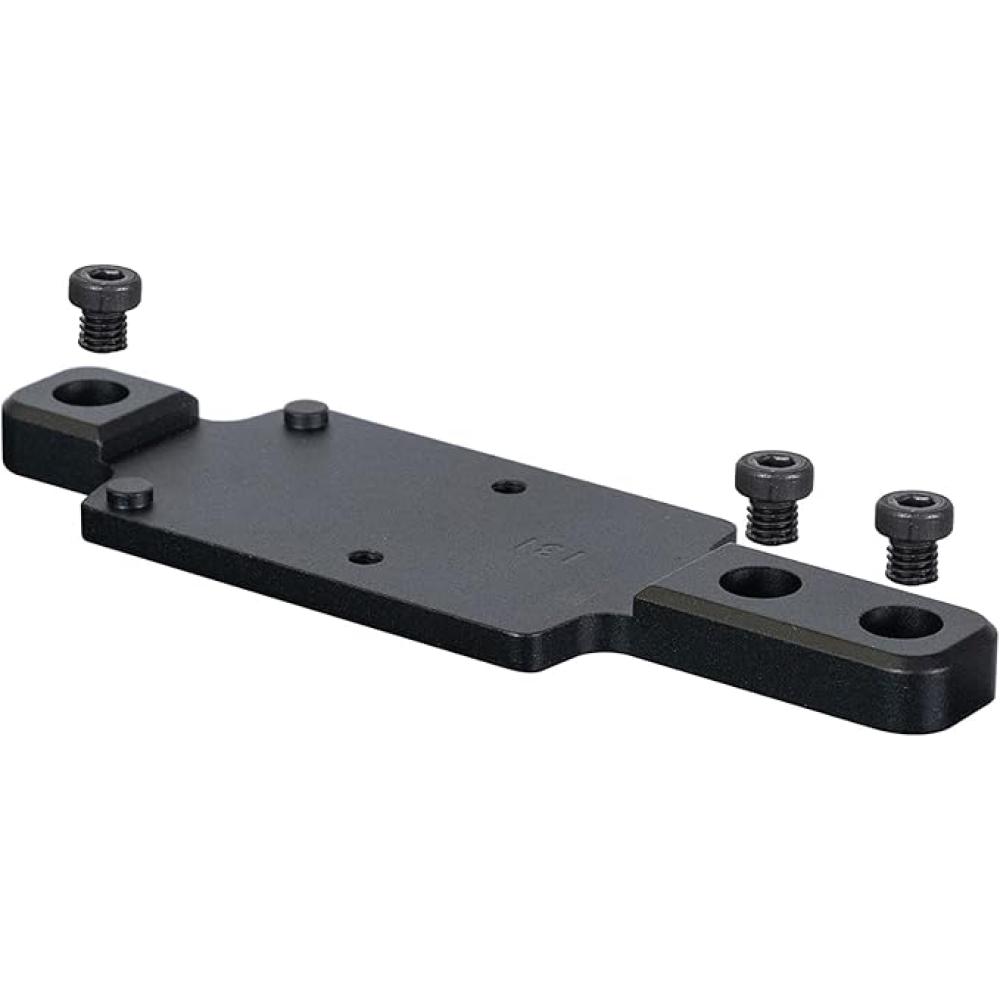 Ruger 10/22 RMR Mount