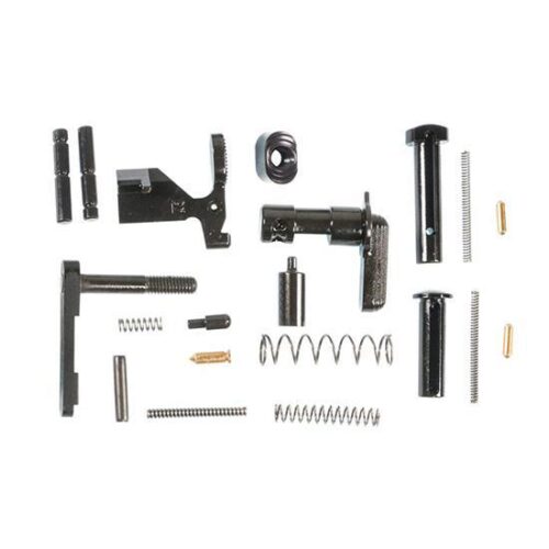 SW M&P AR15 CUSTOMIZABLE LOWER PARTS KIT