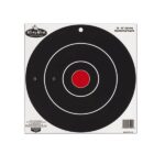 BC DIRTY BIRD 12 ROUND TARGET 100 SHEET