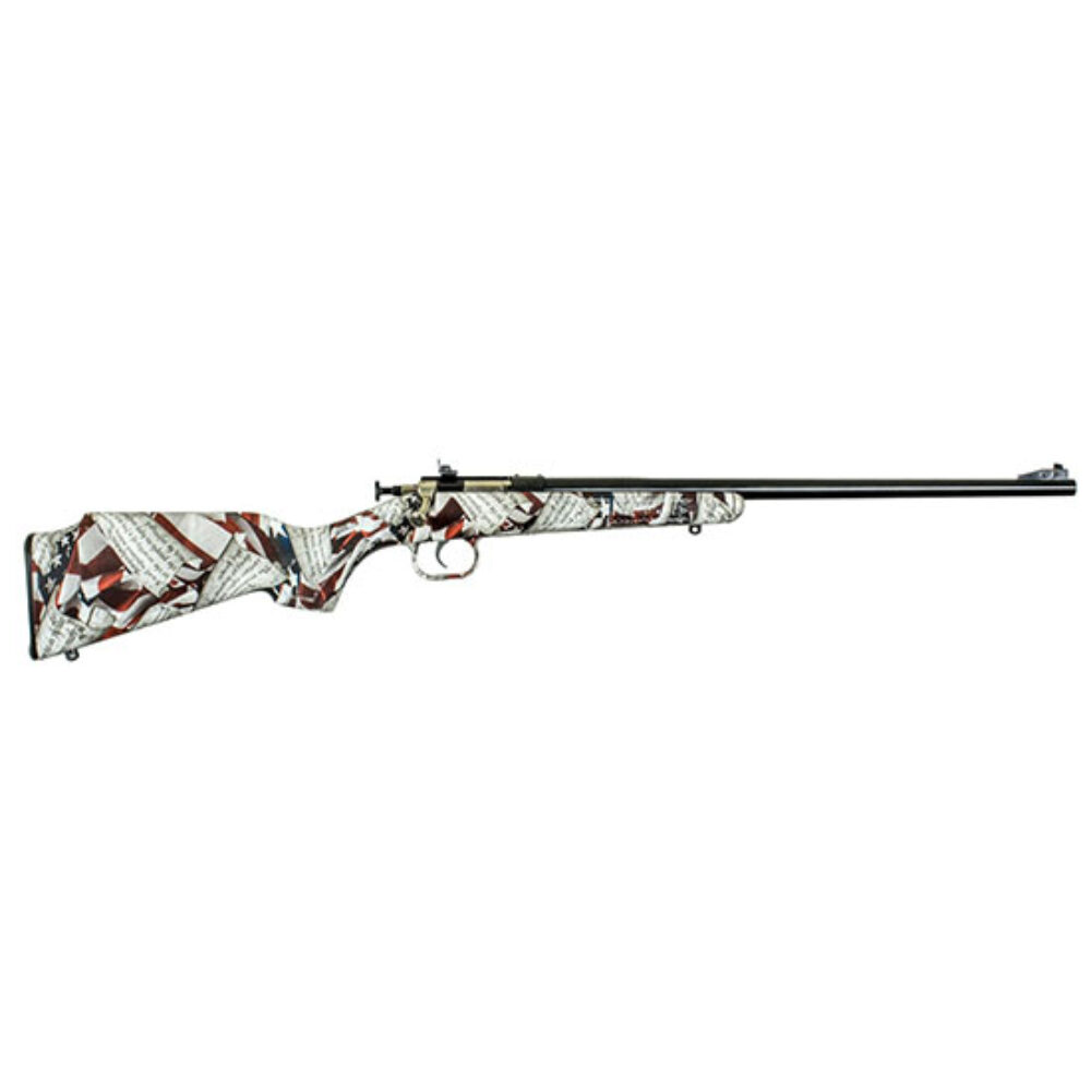 CRICKET AMENDMENT SERIES 22LR SS CRICKET AMENDMENT SERIES 22LR SS