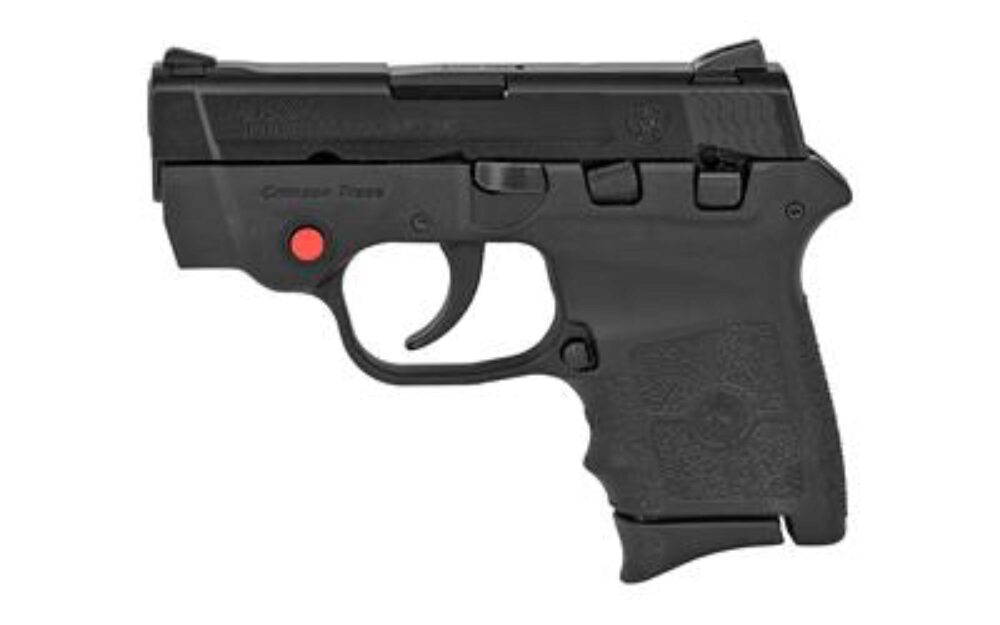 S&W BDYGRD 380ACP 6RD 2.75 CMT BLK S&W BDYGRD 380ACP 6RD 2.75 CMT BLK
