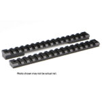 RAIL MTN TECH SAVAGE LA 20MOA