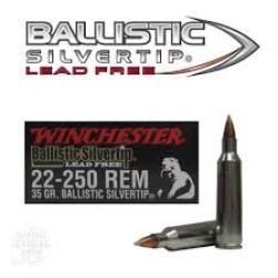 Winchester Ballistic Silvertip 22-250 Rem 35Gr