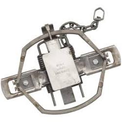 Duke Pro Series 550-os Coyote Trap