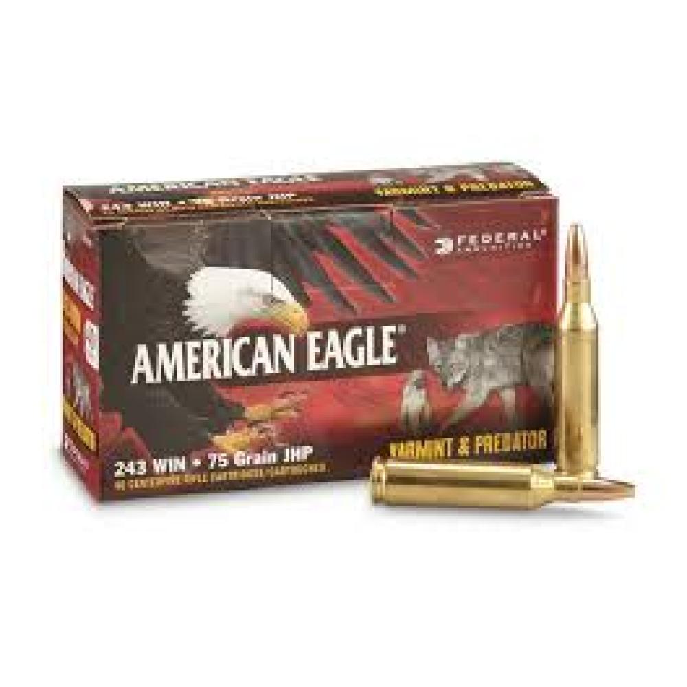 VARMINT & PREDATOR 243 WINCHESTER RIFLE AMMO