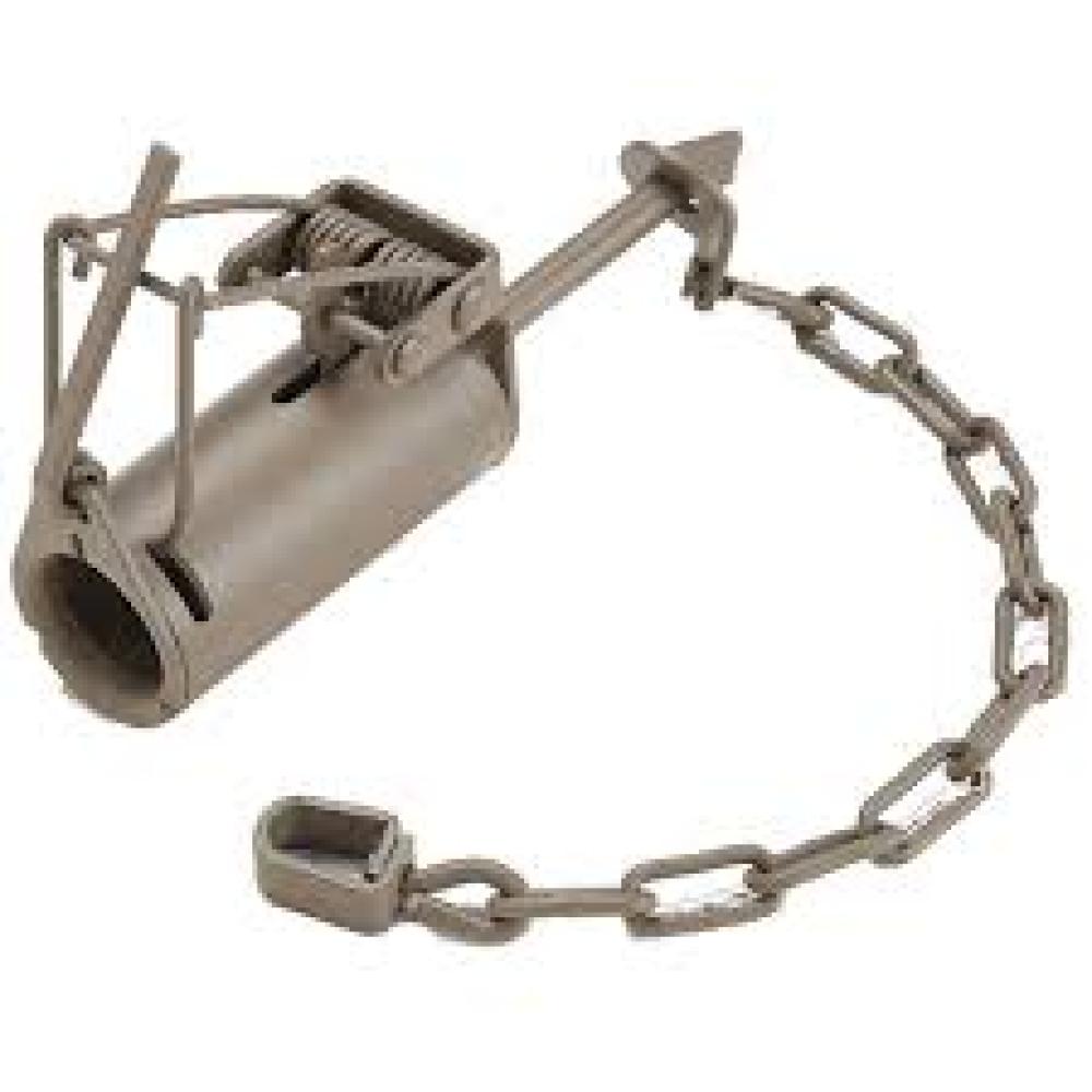 Duke Dog-Proof Raccoon Trap