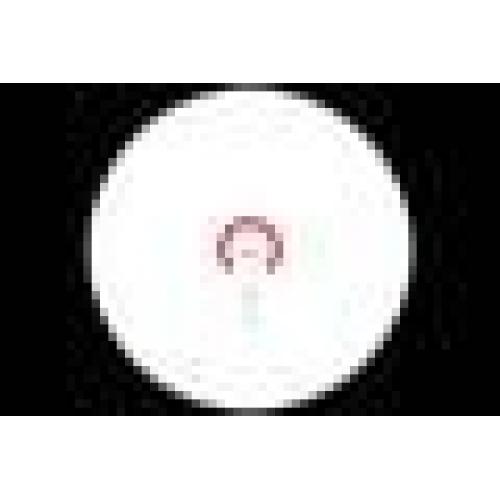 Primary Arms SLx 1X MicroPrism with Red Illuminated ACSS Cyclops Gen 2 Reticle