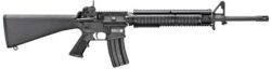 M16 MILITARY COLLECTOR M16 MILITARY COLLECTOR