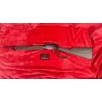 ROSSI RIO BRAVO .22LR